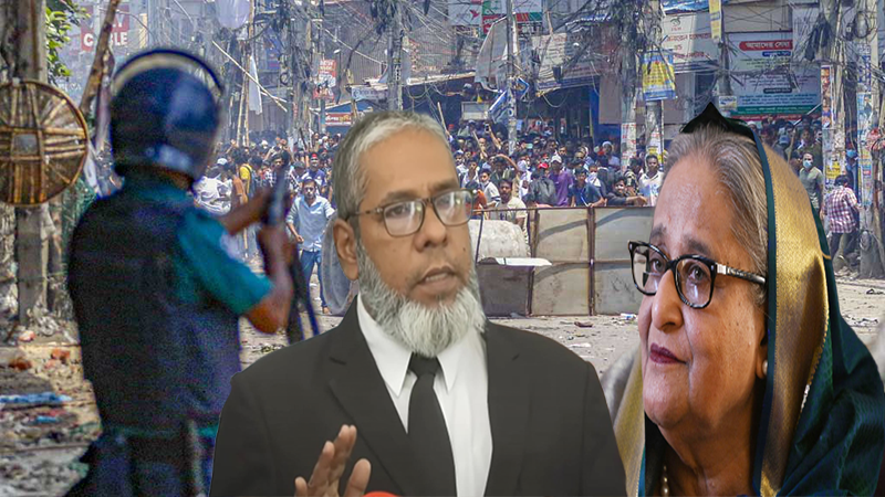 সরকার চালাতে গিয়ে কিছু ভুলত্রুটি হয়, হাসিনাও করেছেন: আইনজীবী আমির হোসেন