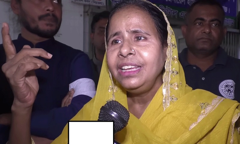 আমরা মার খাইতে জানি, কাউরে মারতে জানি না: বাউল আলেয়া বেগম