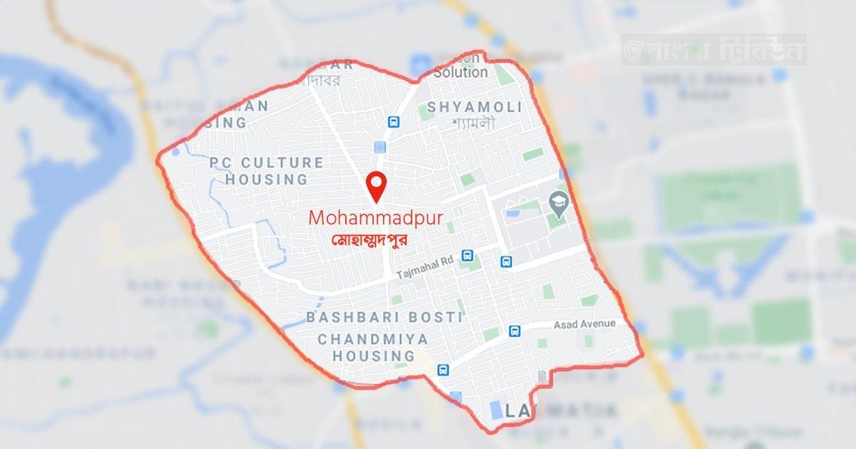মোহাম্মদপুরে আওয়ামী লীগের ঝটিকা মিছিল