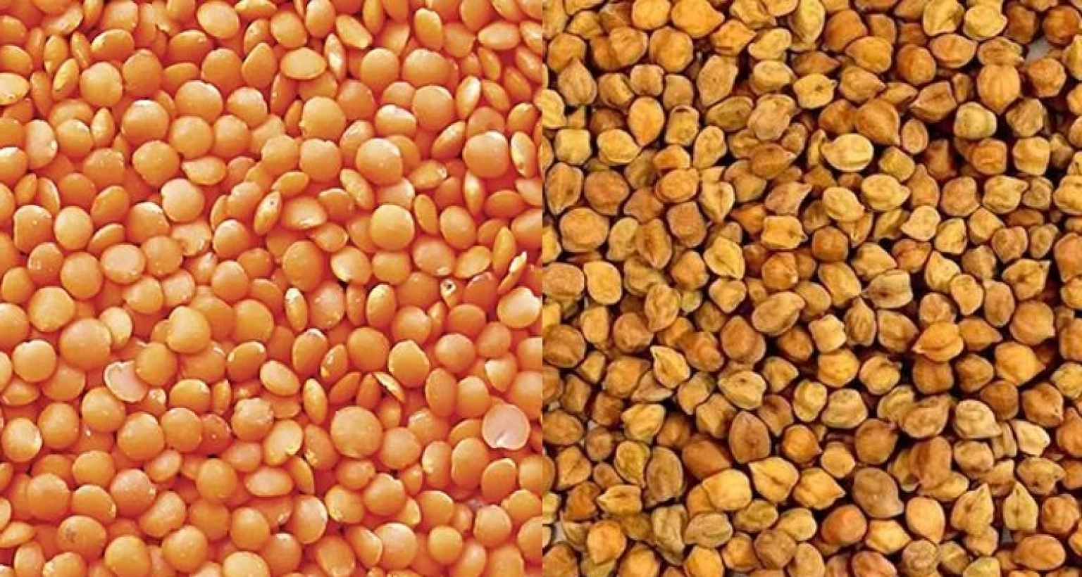 এবার মসুর ডালের কেজি ৭২ টাকা, অনুমোদন সরকারের