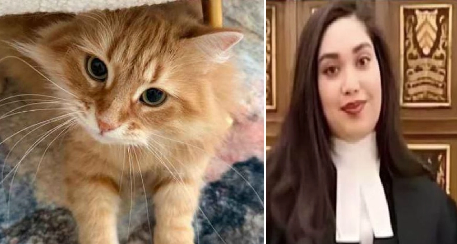 ‘প্রিয় জেবু’ সম্পর্কে এক ‘মজার তথ্য’ দিলেন জাইমা রহমান