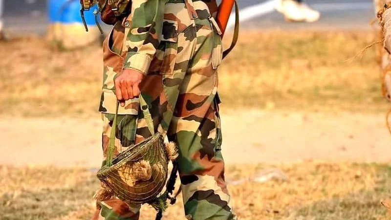 আটক বিএসএফ সদস্যকে ফেরত দিল বিজিবি