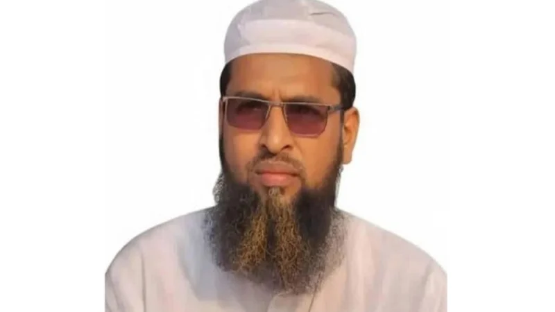 বরগুনা-১ আসনে হাতপাখা প্রতীক নিয়ে বিজয়ী হয়েছেন মো. অলিউল্লাহ