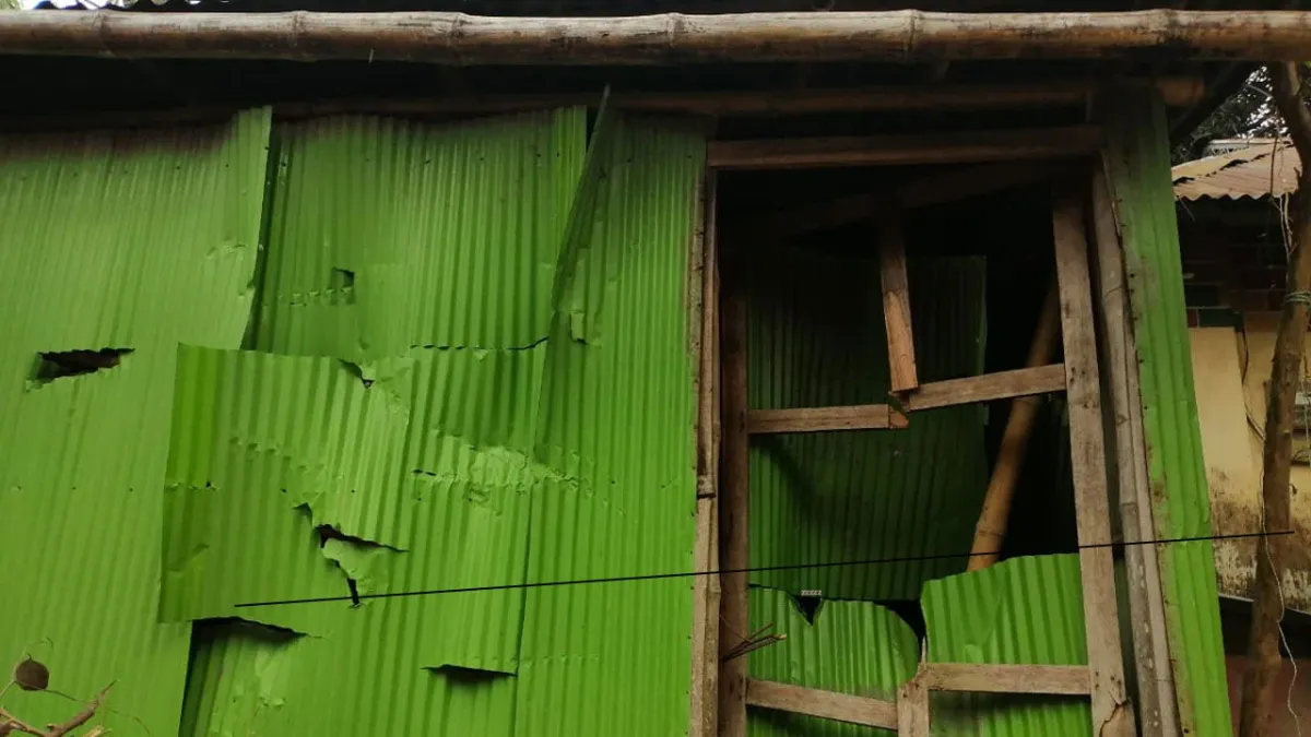 রাজনৈতিক প্রতিহিংসার জেরে আ. লীগ নেতার হামলা, নারীদের শ্লীলতাহানি