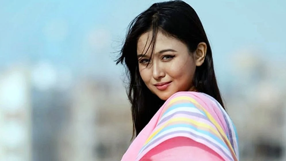 ‘আমি বিএনপিকে সার্ভ করতে চাই’: চমক