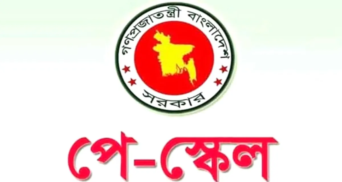 সাবধান, যে ভুল করলে আটকে যেতে পারে নতুন পে স্কেলে বেতন