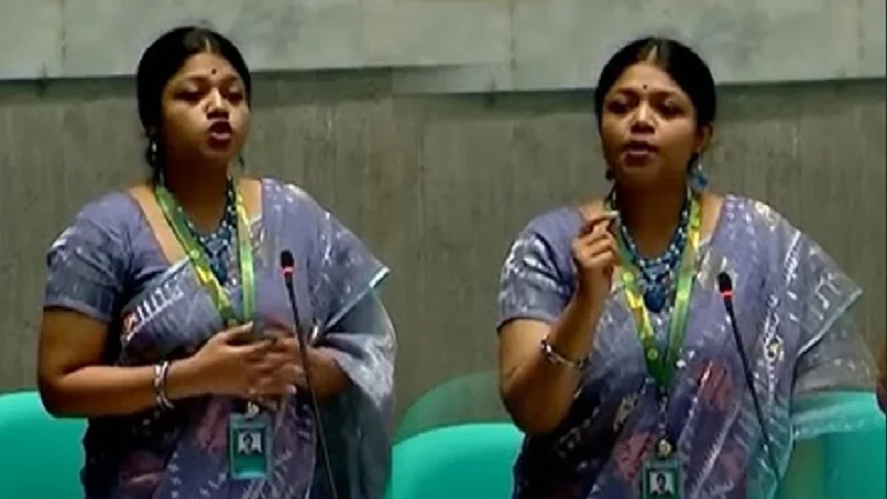 স্বৈরাচার এখনো জোর গলায় হুমকি দেয়: সংসদে নুসরাত